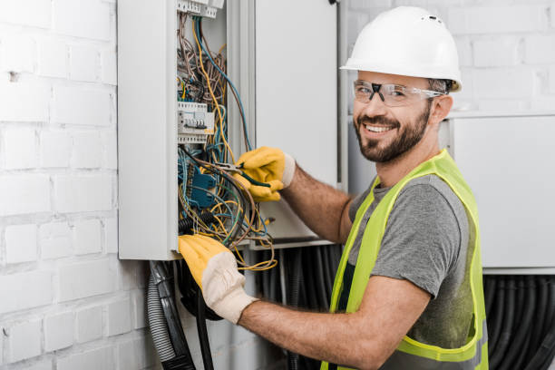 Best Electrical System Inspection  in Gridley, IL